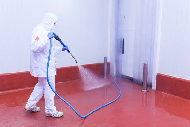 Best Machinery and Equipment Cleaning  in Lake Helen, FL
