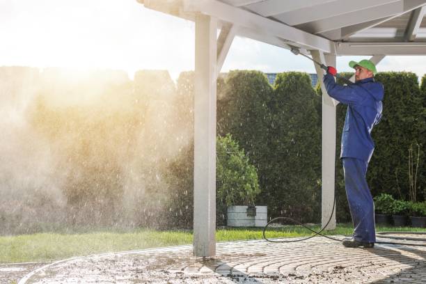Best Building Exterior Washing  in Lake Helen, FL